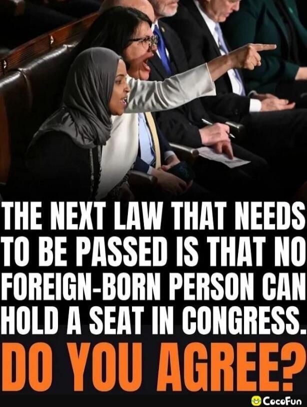 THE NEXT LAW THAT NEEDS TO BE PASSED IS THAT NO FOREIGN-BORN PERSON CAN HOLD A SEAT IN CONGRESS. DO YOU AGREE?