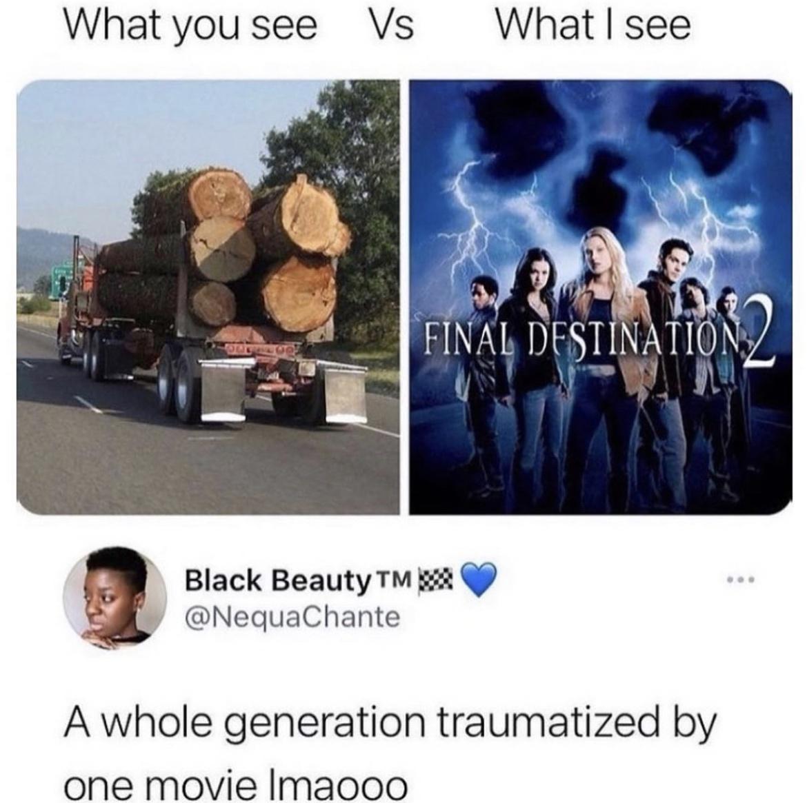 What you see Vs What see WS i QAR LT EINAL DFSTINATIOIQ e W HBY Black Beauty g2 NequaChante A whole generation traumatized by one movie Imaooo