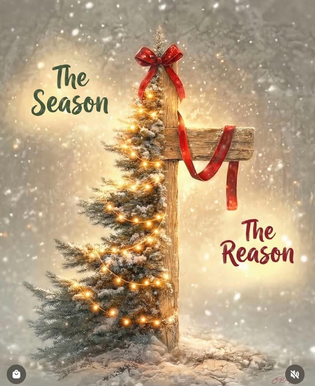The Season
The Reason