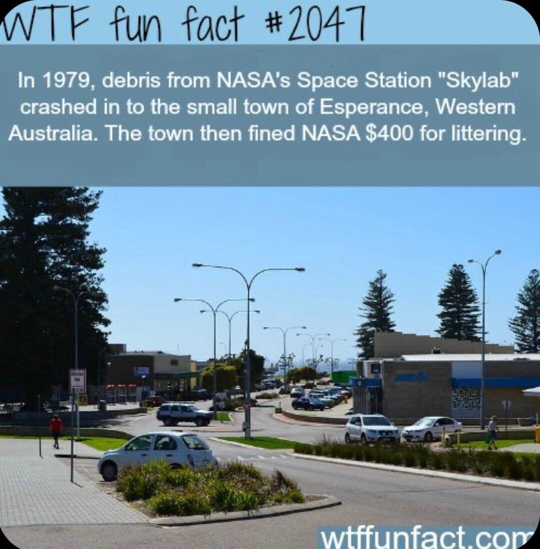 WTF fun foct 2047 i