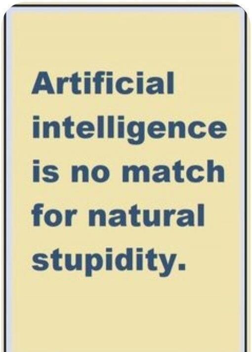 Artificial intelligence is no match for natural stupidity.