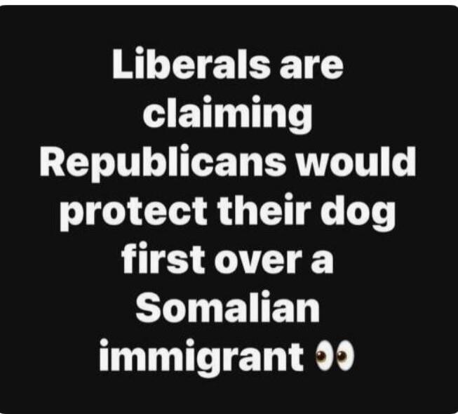 Liberals are claiming Republicans would protect their dog first over a Somalian immigrant 👀