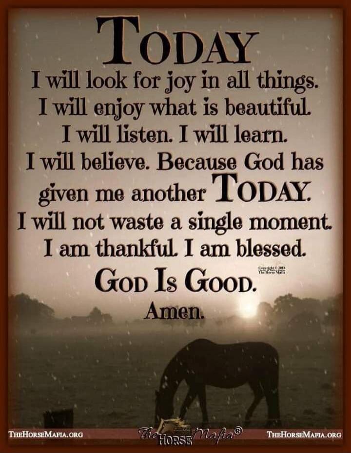 TODAY I will look for joy in all things. I will enjoy what is beautiful. I will listen. I will learn. I will believe. Because God has given me another TODAY. I will not waste a single moment. I am thankful I am blessed. God Is Good. Amen.