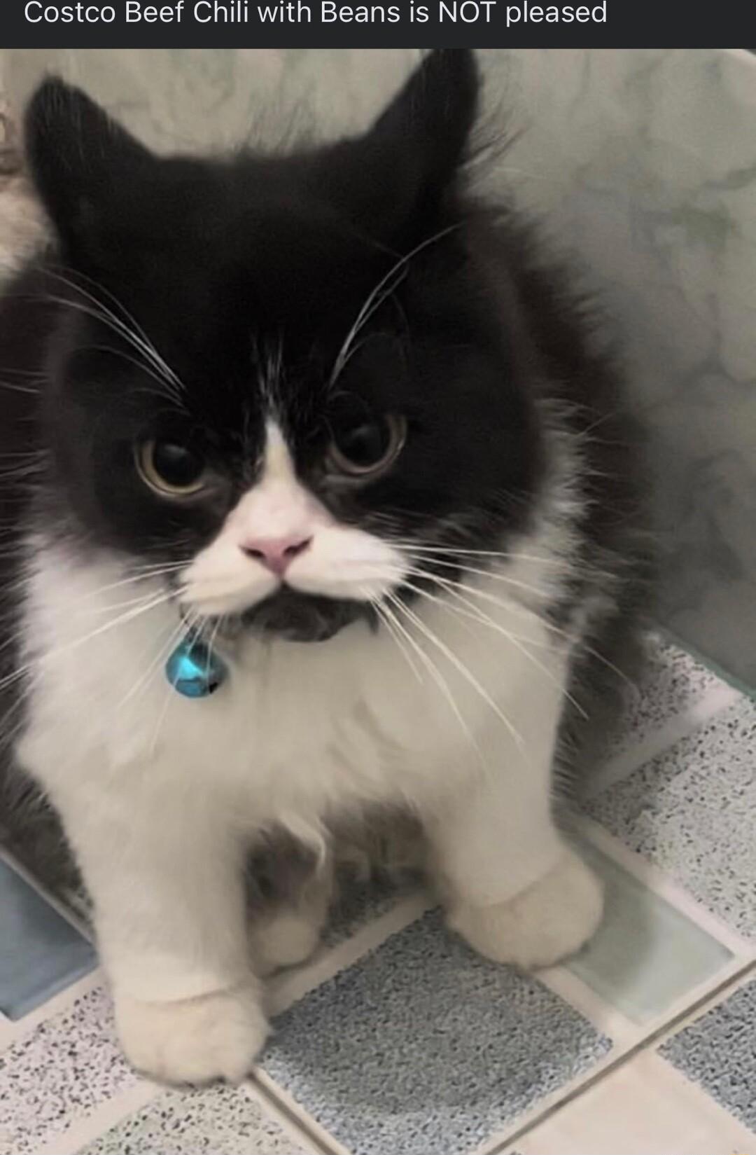 il with Beans Is NOT pleased