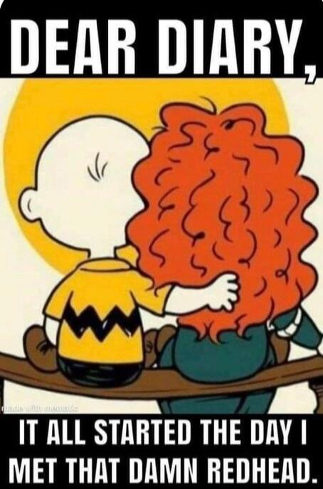 DEAR DIARY, IT ALL STARTED THE DAY I MET THAT DAMN REDHEAD.