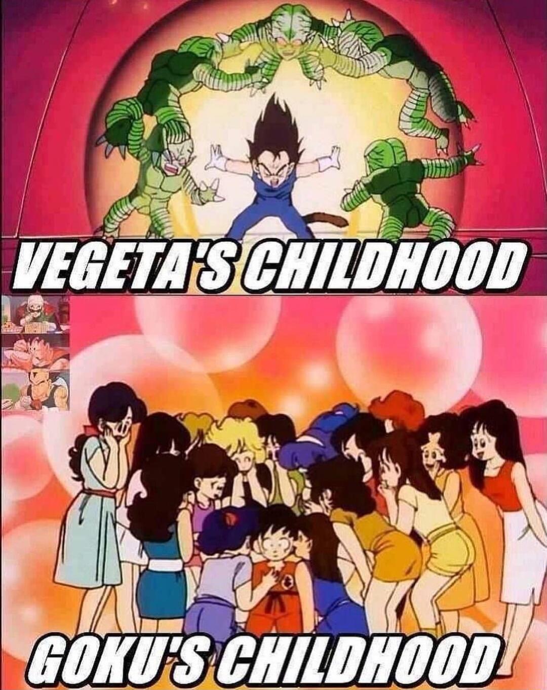 o VEGETATSEHTLONO0D