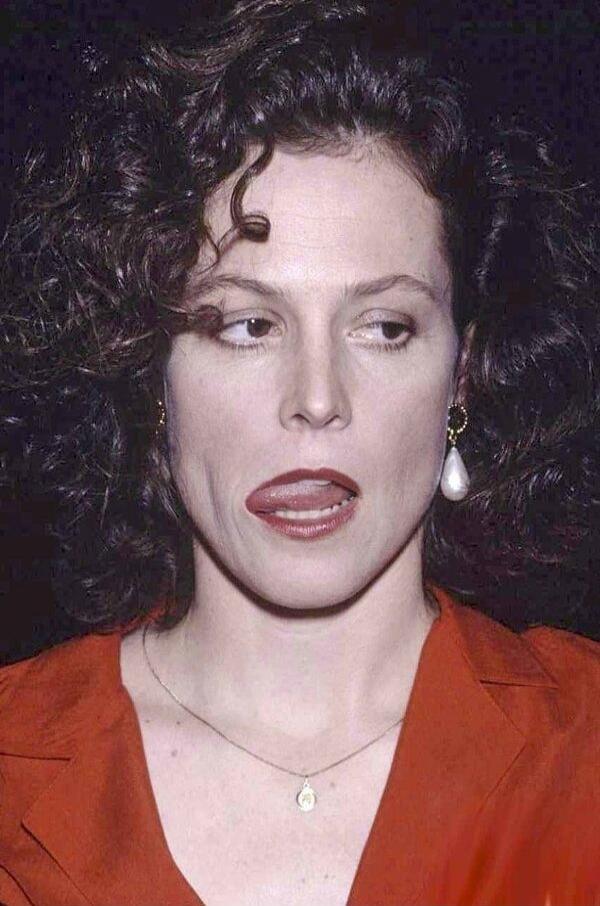 Session ID: 1005884.