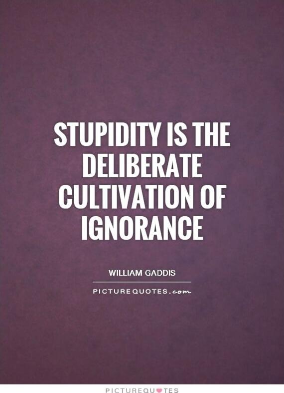 STUPIDITY IS THE DELIBERATE CULTIVATION OF IGNORANCE