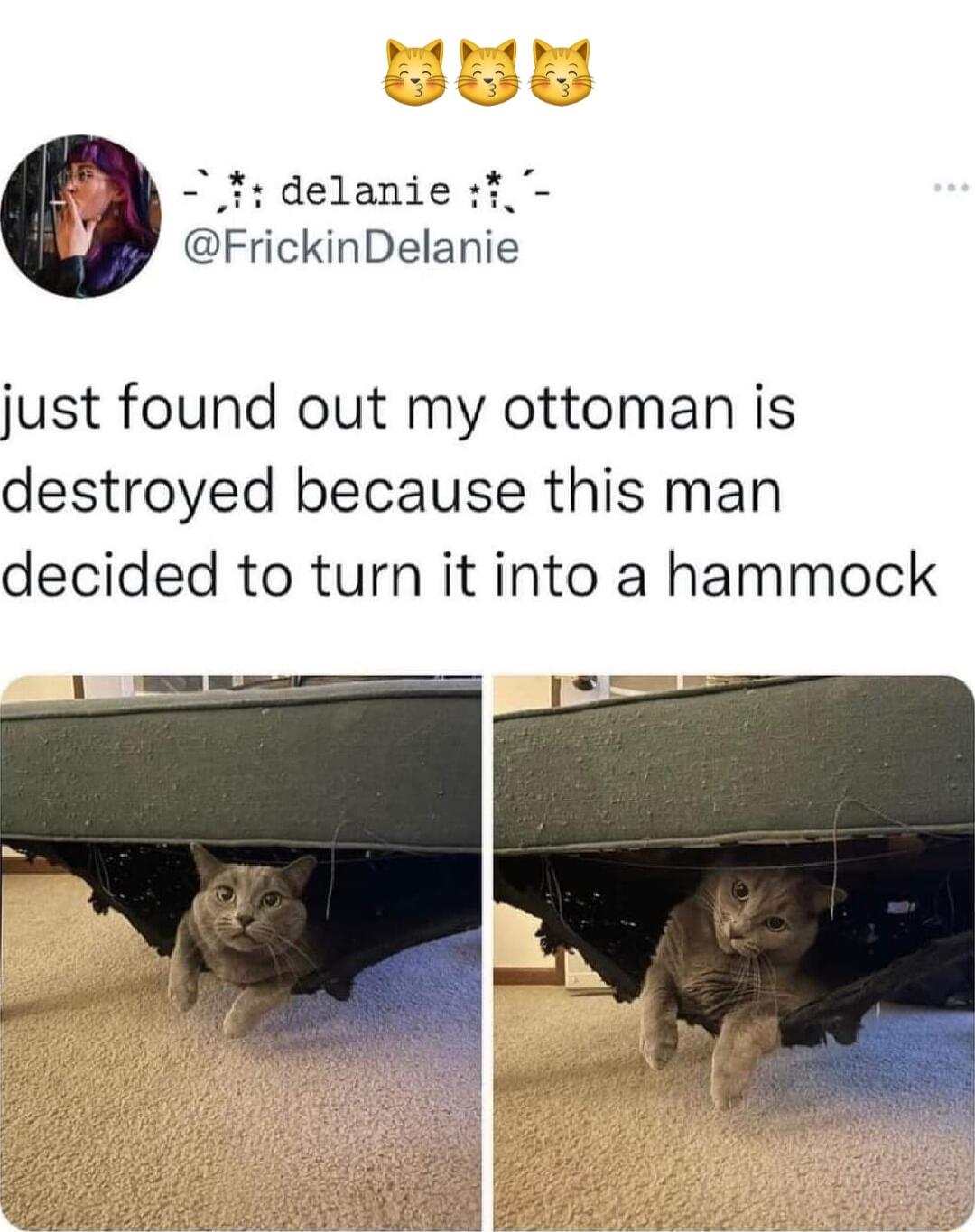 ot B Pt delanie FrickinDelanie just found out my ottoman is destroyed because this man decided to turn it into a hammock