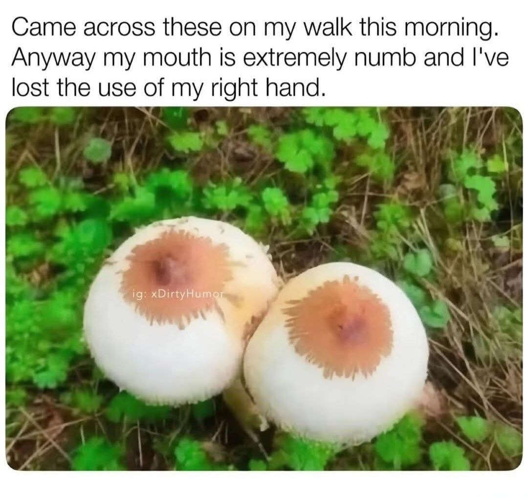 Came across these on my walk this morning. Anyway my mouth is extremely numb and I've lost the use of my right hand. ig: xDirtyHumor