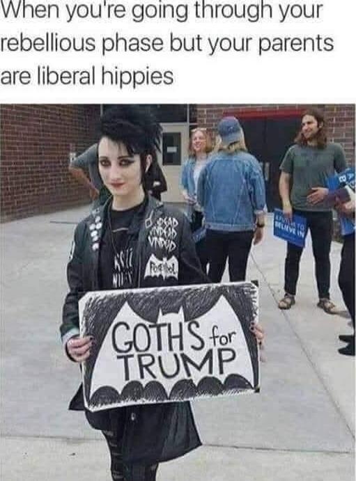 When you're going through your rebellious phase but your parents are liberal hippies
GOTHS for TRUMP