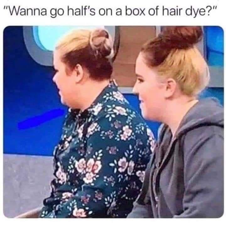 Wanna go halfs on a box of hair dye