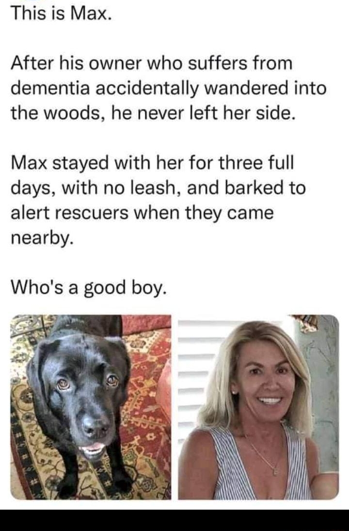 Goodable Goodable This is Max After his owner who suffers from dementia accidentally wandered into the woods he never left her side Max stayed with her for three full days with no leash and barked to alert rescuers when they came nearby Whos a good boy