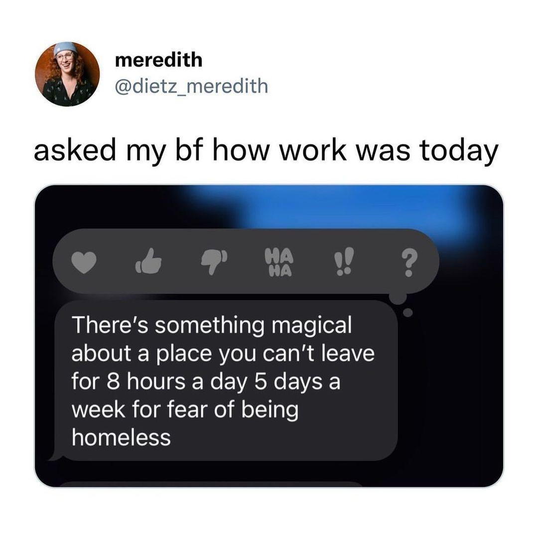 meredith dietz_meredith asked my bf how work was today Theres something magical about a place you cant leave for 8 hours a day 5 days a week for fear of being homeless