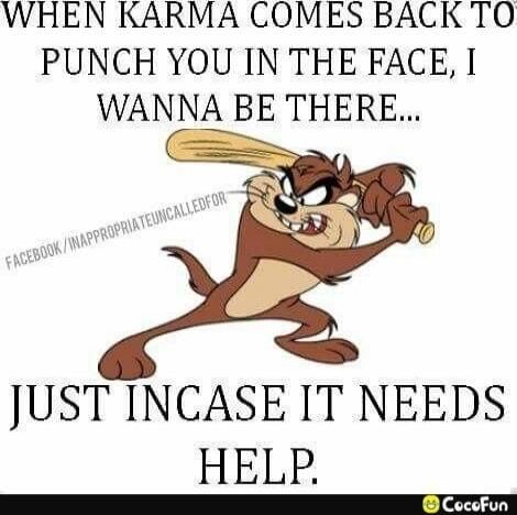 WHEN KARMA COMES BACK TO PUNCH YOU IN THE FACE, I WANNA BE THERE... JUST INCASE IT NEEDS HELP. FACEBOOK/INAPPROPRIATEUNCALLEDFOR CocoFun