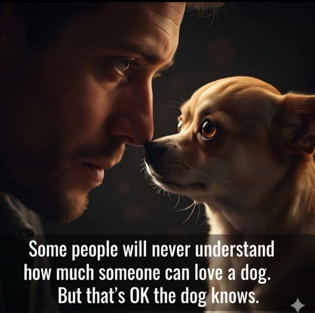 Some people will never understand how much someone can love a dog. But that's OK the dog knows.