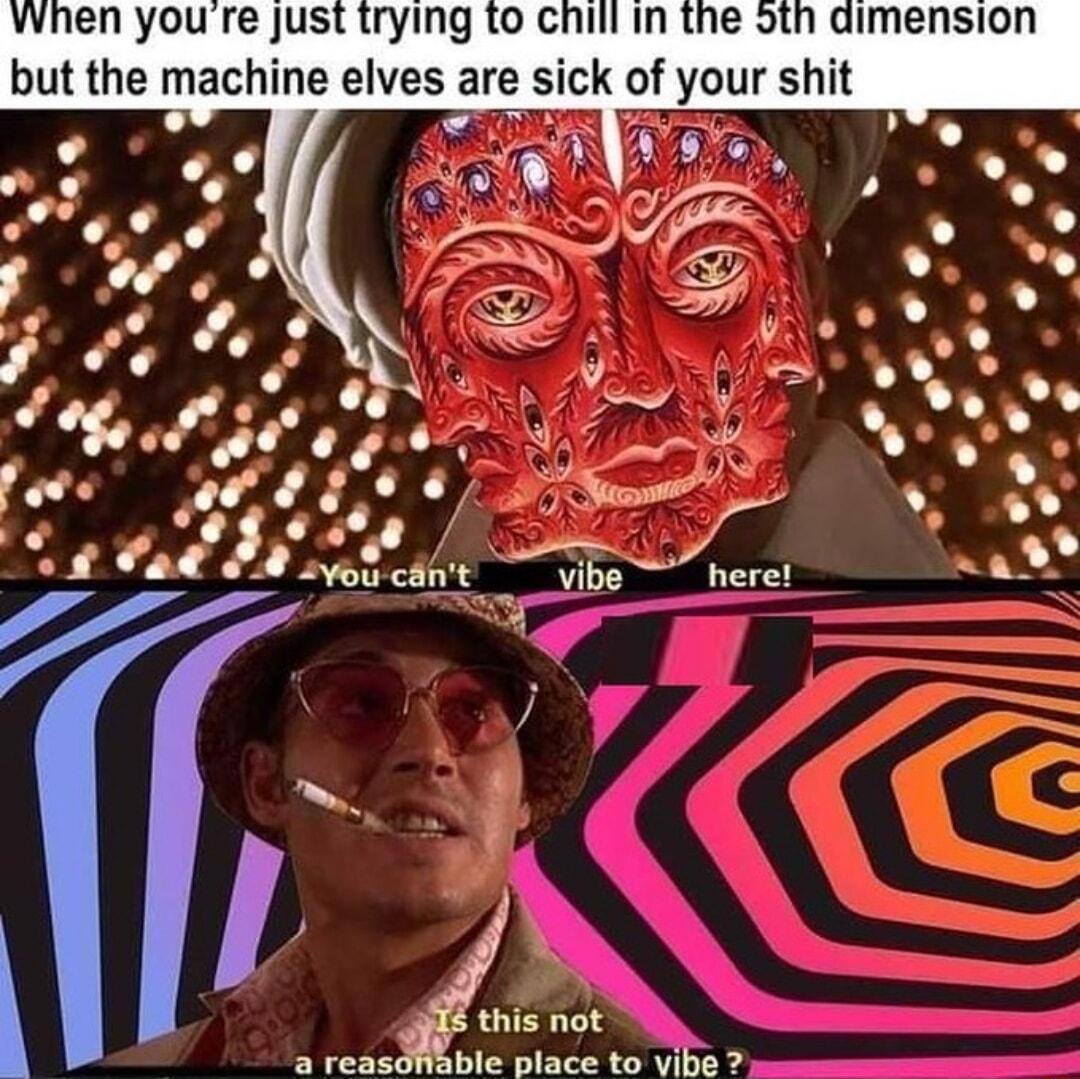 hen youre just trying to chill in aimension but the machine elves are slck 01 your shit