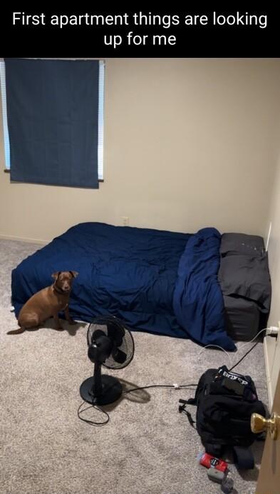 First apartment things are looking up for me