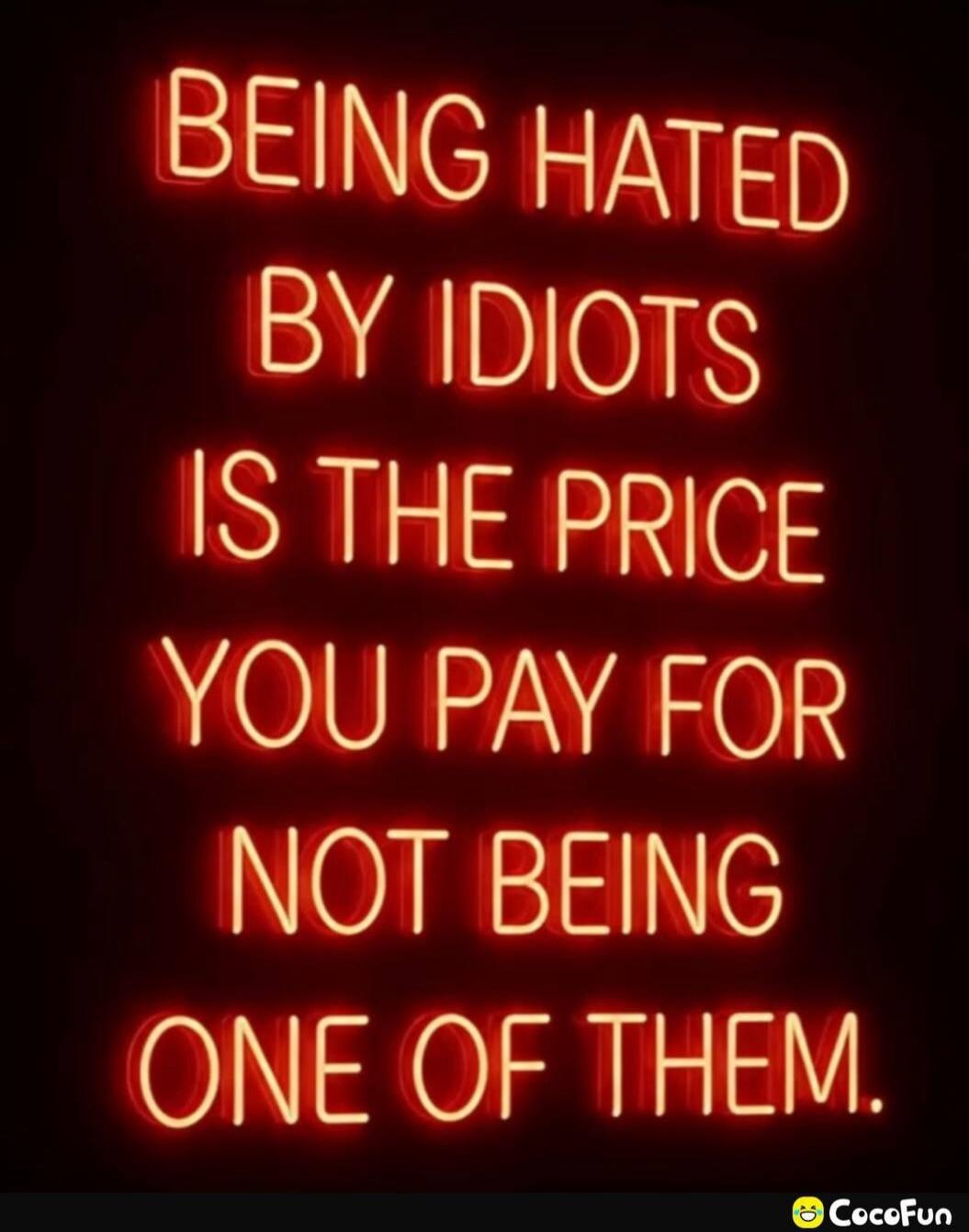 BEING HATED BY IDIOTS IS THE PRICE YOU PAY FOR NOT BEING ONE OF THEM.