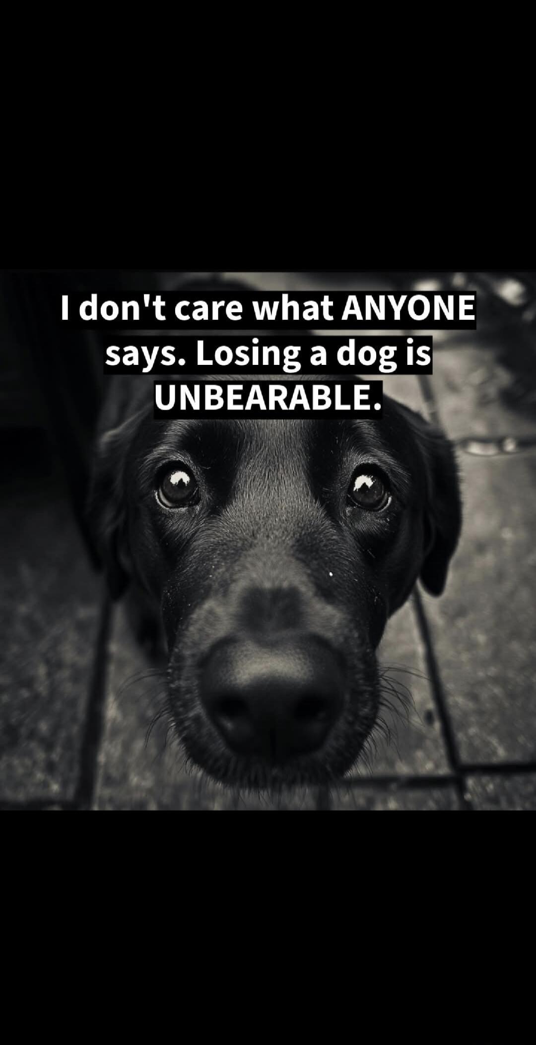 I don't care what ANYONE says. Losing a dog is UNBEARABLE.