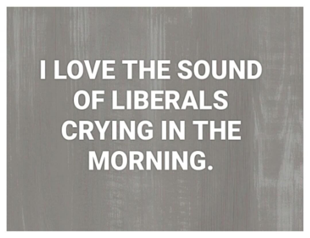 I LOVE THE SOUND OF LIBERALS CRYING IN THE MORNING.