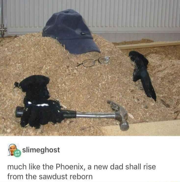 Qslimeghost much like the Phoenix a new dad shall rise from the sawdust reborn