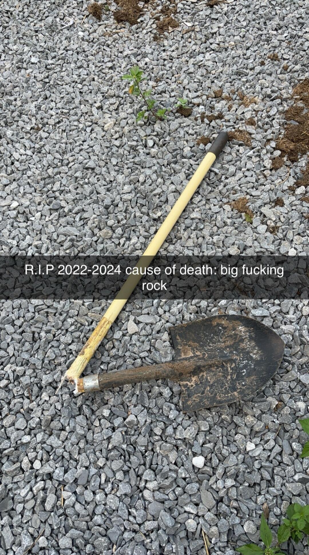 19 _ STty A RIP 2022 2024 cause of death big fucking