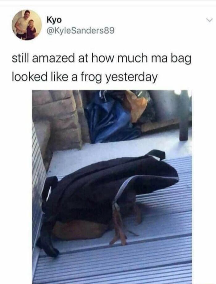 Kyo KyleSanders89 still amazed at how much ma bag looked like a frog yesterday