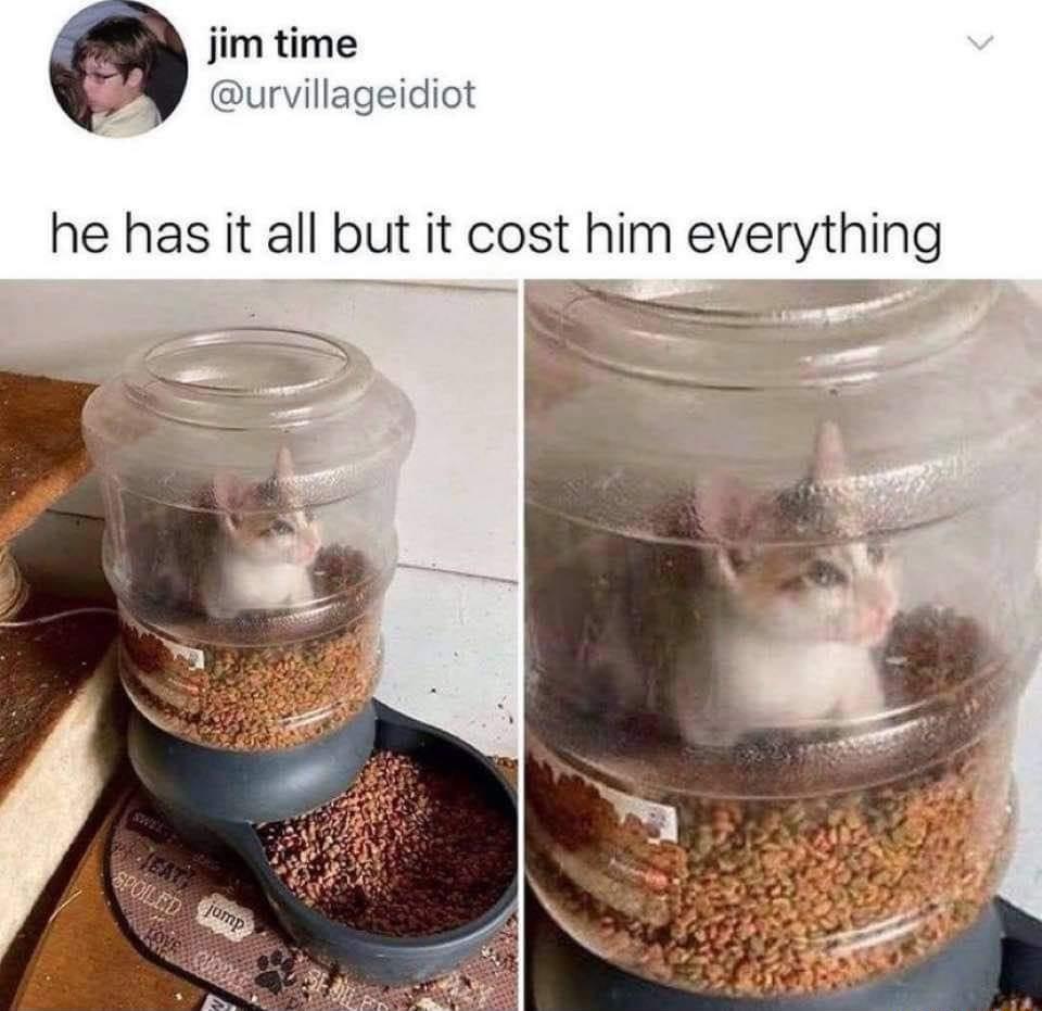 jim time urvillageidiot he has it all but it cost him everything w