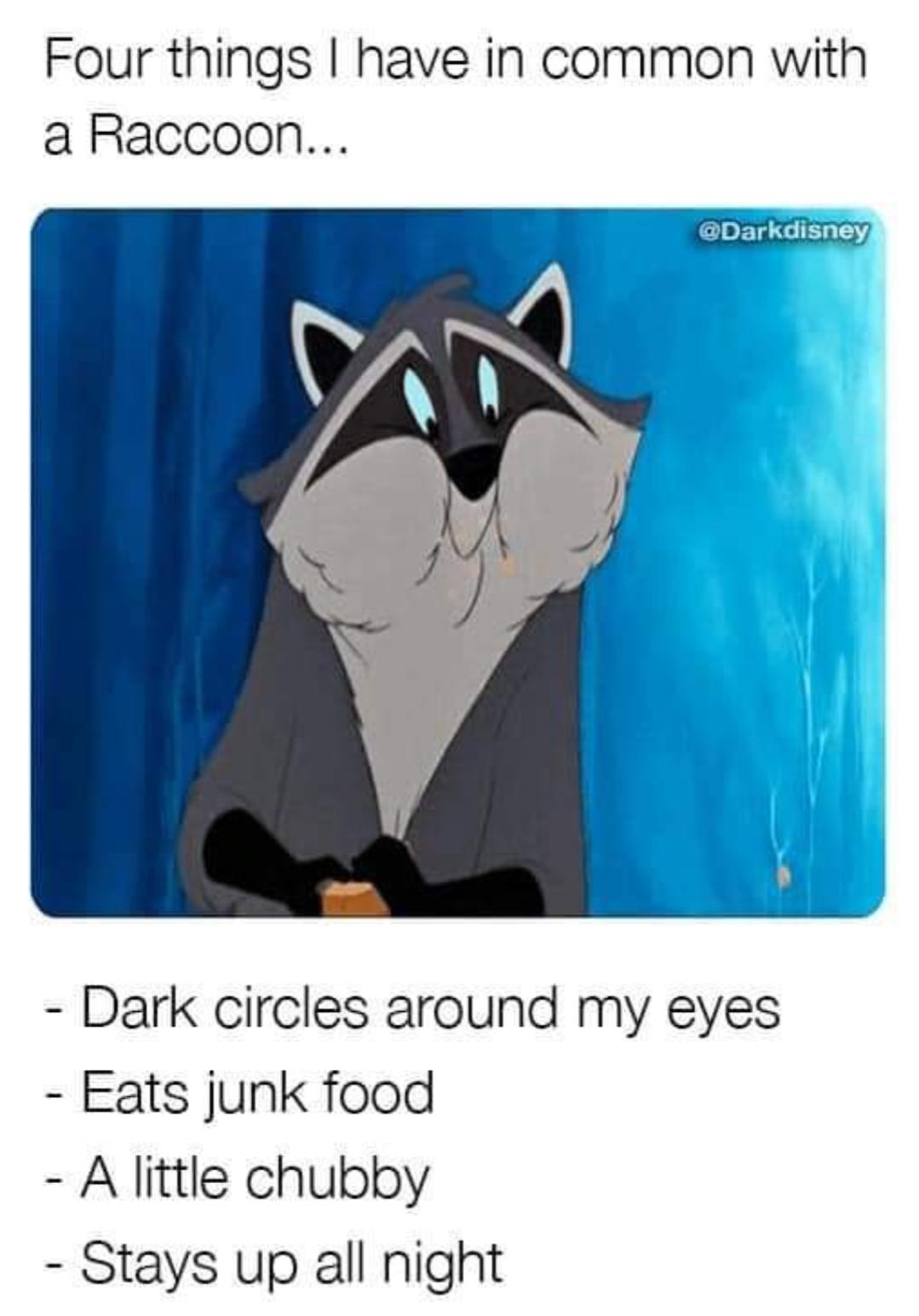 Four things have in common with a Raccoon Dark circles around my eyes Eats junk food Alittle chubby Stays up all night