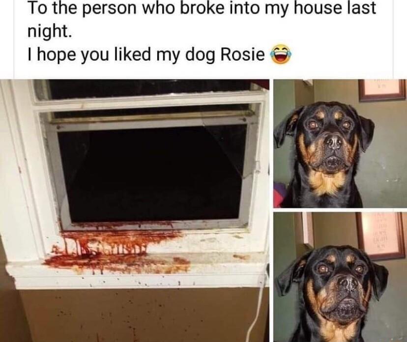 To the person who broke into my house last night hope you liked my dog Rosie