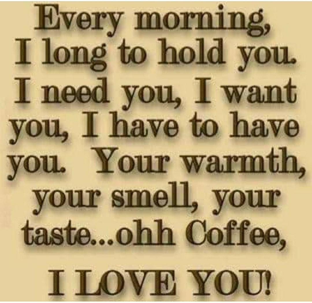 Every morning T long to hold you I need you I want you I have to have you Your warmth your smell your tasteohh Coffee I 1LOVE YOU