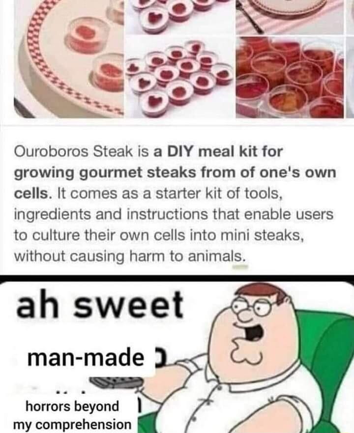 Ouroboros Steak is a DIY meal kit for growing gourmet steaks from of ones own cells It comes as a starter kit of tools ingredients and instructions that enable users to culture their own cells into mini steaks without causing harm to animals ah sweet man made horrors beyond my comprehension