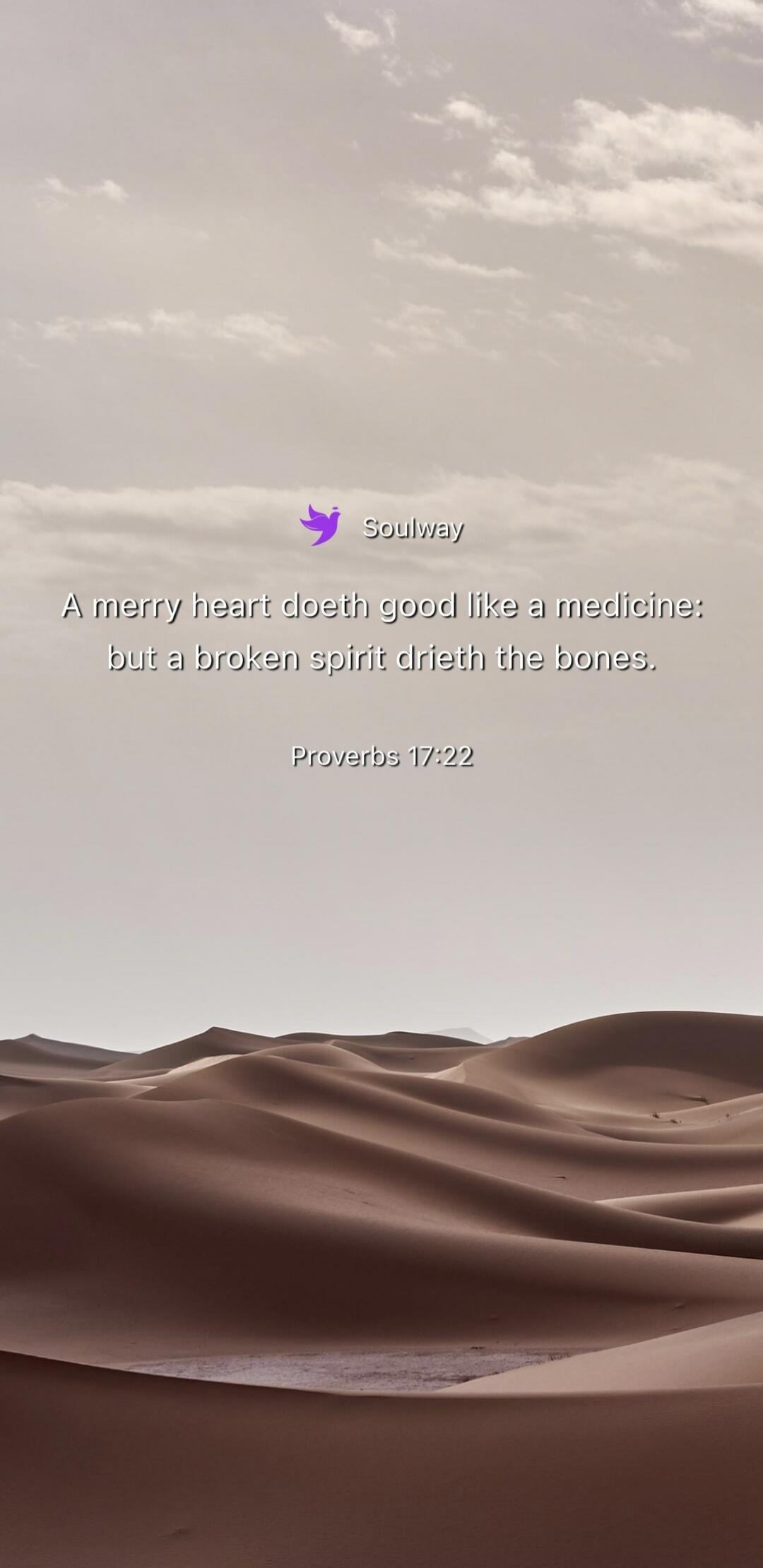 Soulway A merry heart doeth good like a medicine: but a broken spirit drieth the bones. Proverbs 17:22