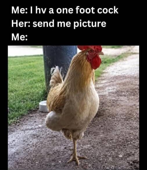 Me: I hv a one foot cock Her: send me picture Me: