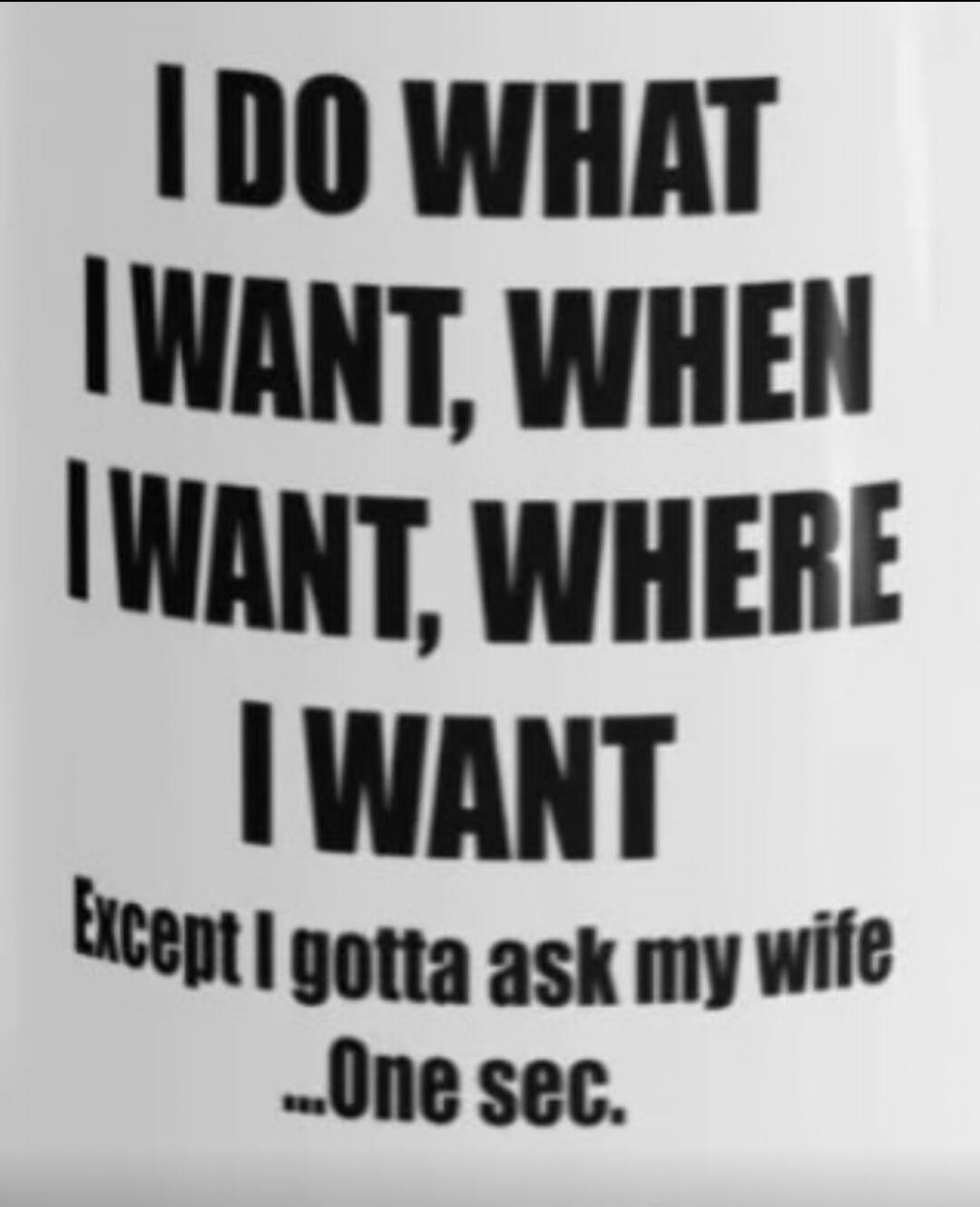 I DO WHAT I WANT, WHEN I WANT, WHERE I WANT Except I gotta ask my wife ...One sec.