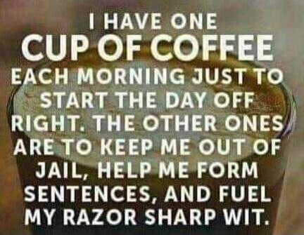 I HAVE ONE CUP OF COFFEE EACH MORNING JUST TO START THE DAY OFF RIGHT. THE OTHER ONES ARE TO KEEP ME OUT OF JAIL, HELP ME FORM SENTENCES, AND FUEL MY RAZOR SHARP WIT.