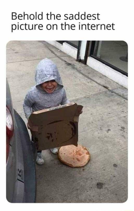 Behold the saddest picture on the internet