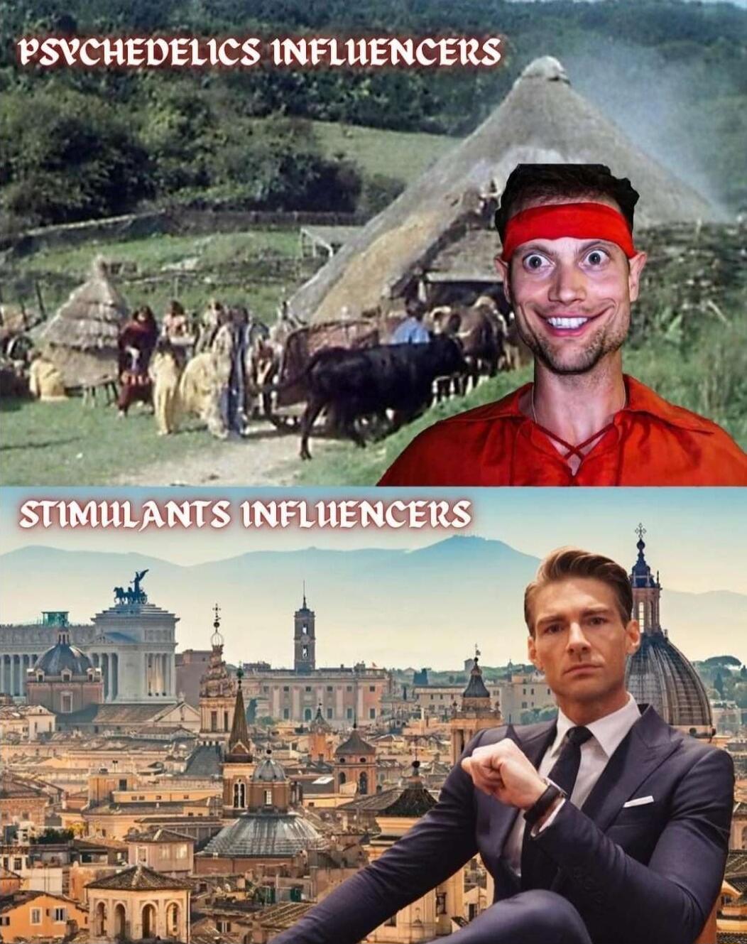 PSVCHEDELICS INFLUENCE STIMUI