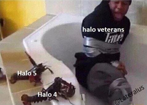 s halo veterans 174