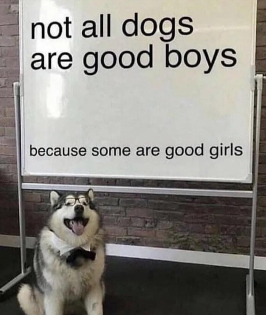 not all dogs are good boys because some are good girls