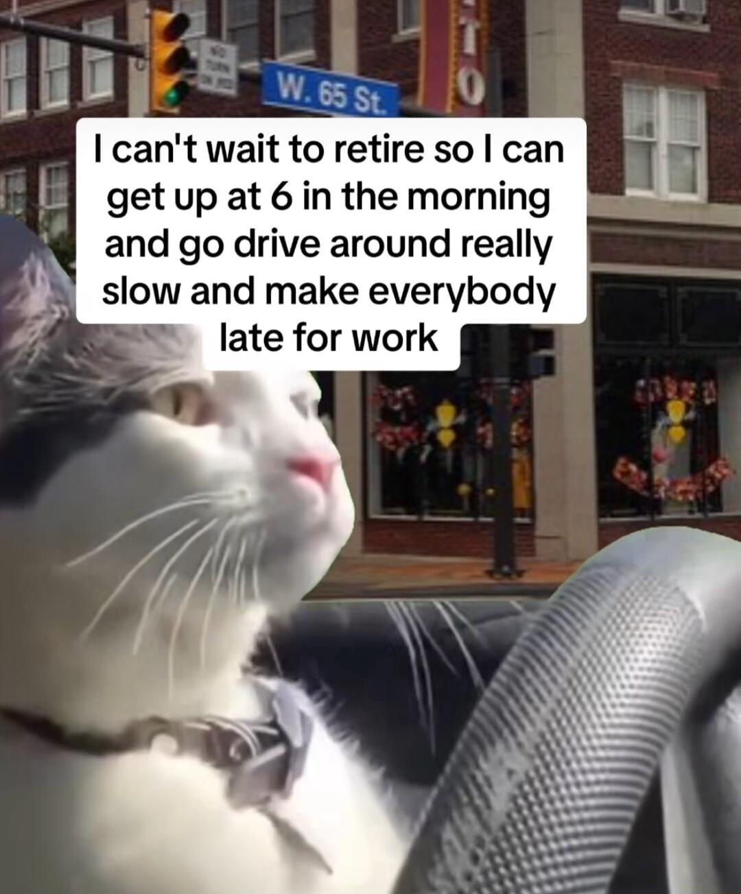 cant wait to retire so can get up at 6 in the morning and go drive around really slow and make everybody late for work