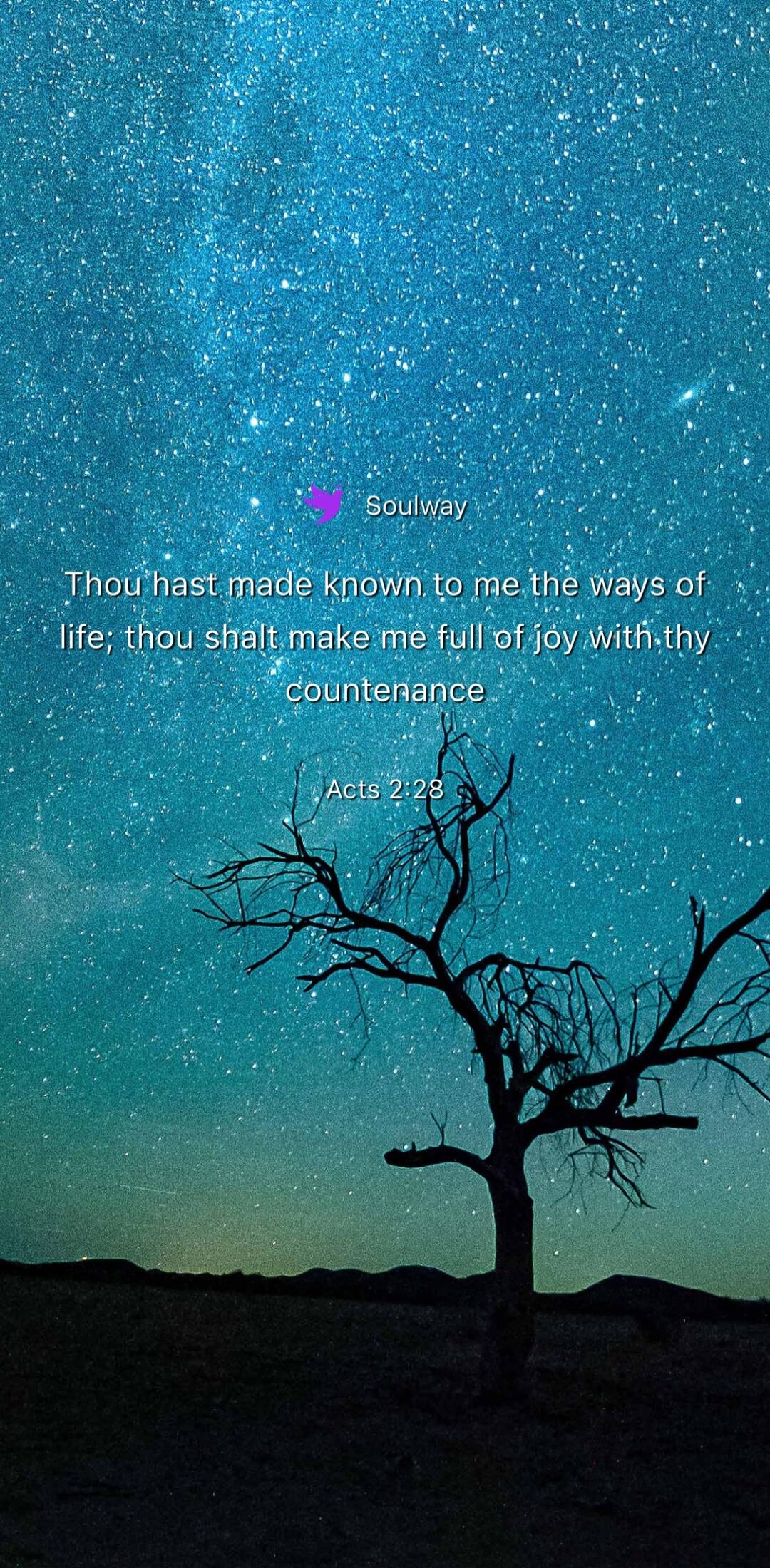 Soulway Thou hast made known to me the ways of life; thou shalt make me full of joy with thy countenance Acts 2:28