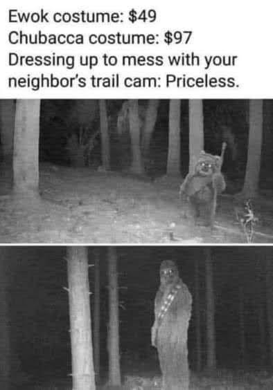 Ewok costume 49 Chubacca costume 97 Dressing up to mess with your neighbors trail cam Priceless