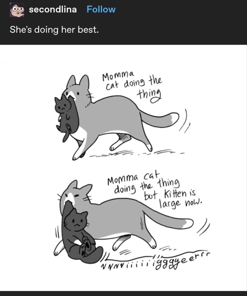 t secondlina Follow Shes doing her best 39063 notes 3