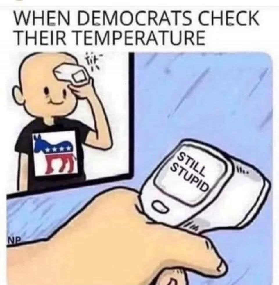 WHEN DEMOCRATS CHECK THEIR TEMPERATURE STILL STUPID