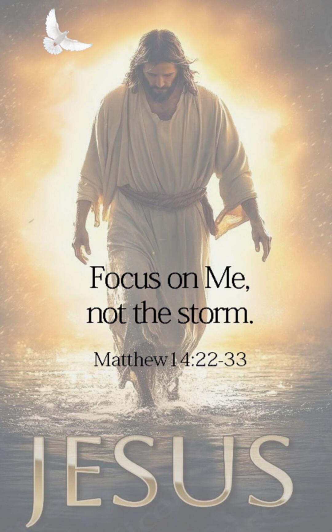 Focus on Me, not the storm. Matthew 14:22-33
JESUS