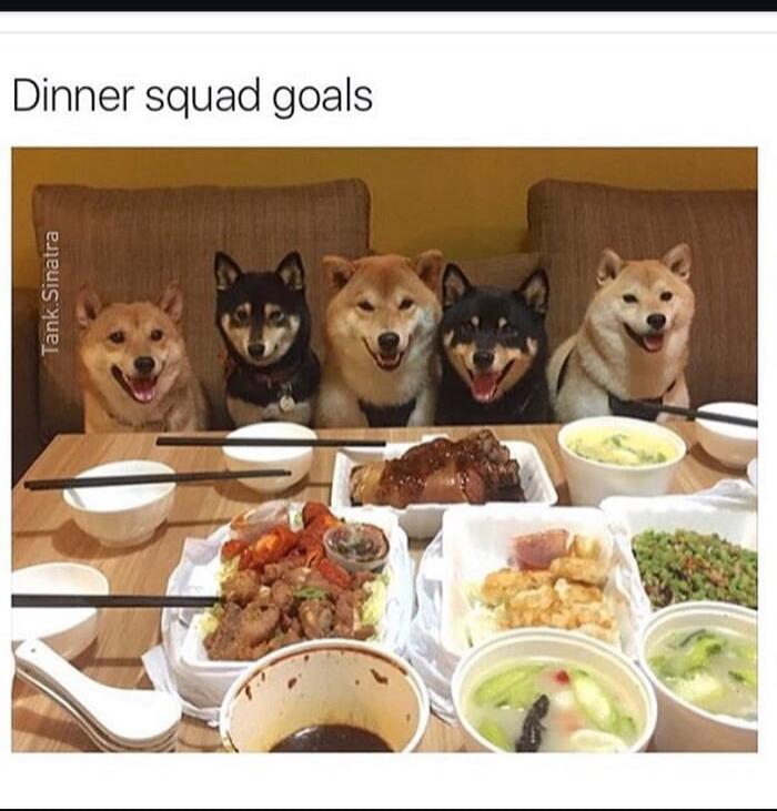 Dinner squad goals
Tank Shinita