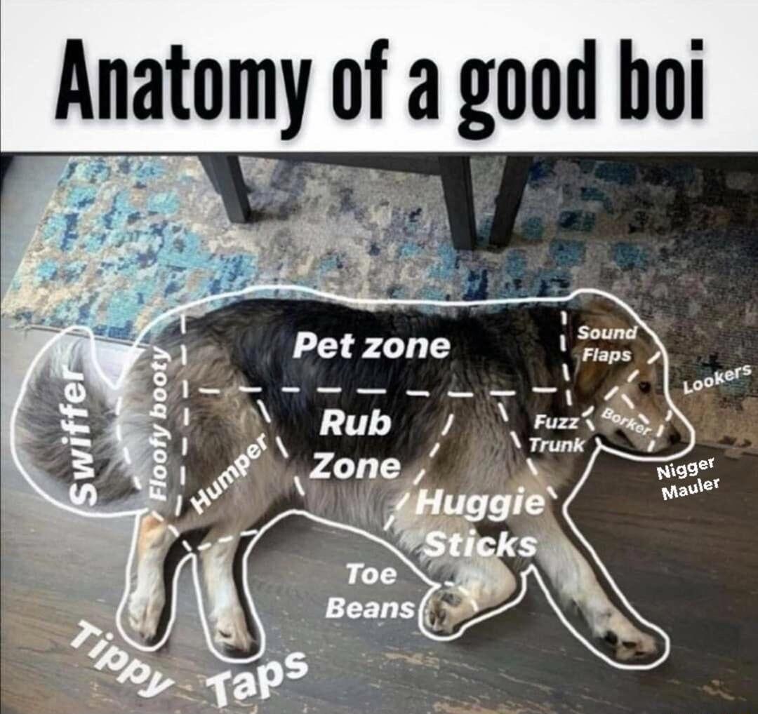 Anatomy of a good boi