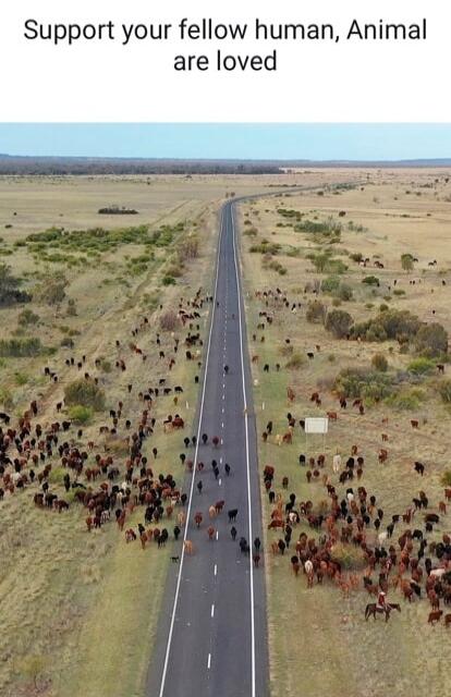 Support your fellow human, Animal are loved